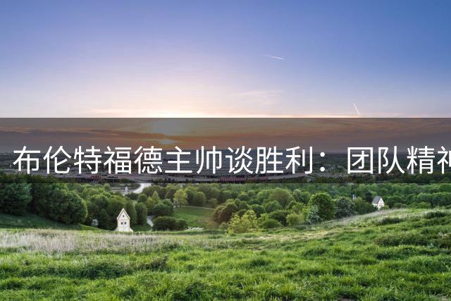 布伦特福德主帅谈胜利：团队精神高于一切
