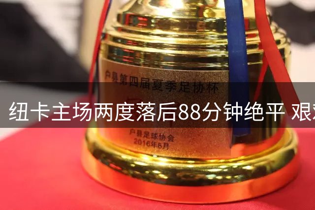 纽卡主场两度落后88分钟绝平 艰难战平伯恩茅斯