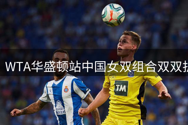 WTA华盛顿站中国女双组合双双折戟 冲击决赛未果